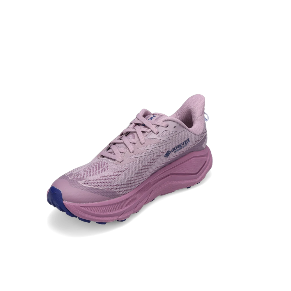 Shop Women's Challenger 8 GORE-TEX Fragrant Lilac/Berry Mauve